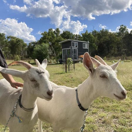 Вилла Saddle Camp Tiny House By Tiny Away Braidwood Экстерьер фото
