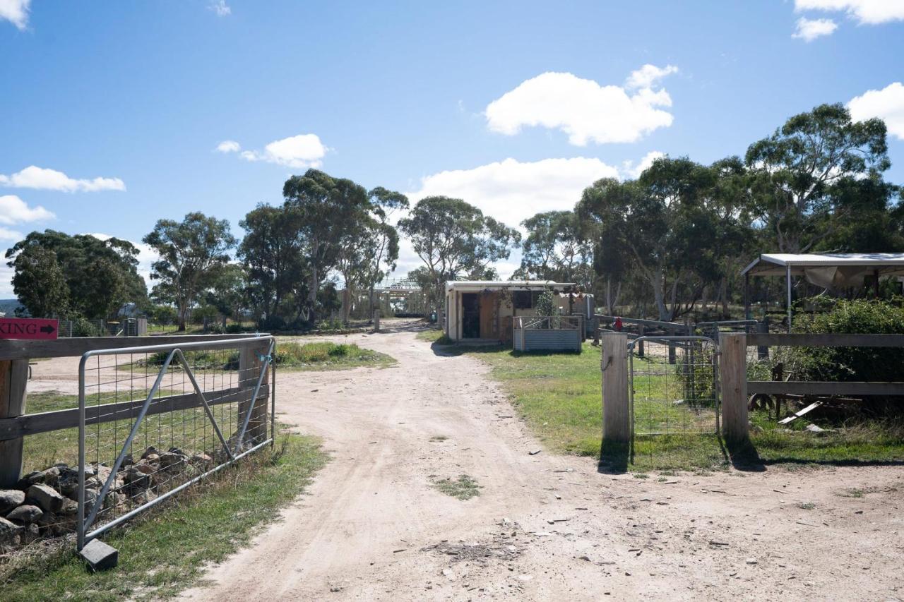 Вилла Saddle Camp Tiny House By Tiny Away Braidwood Экстерьер фото